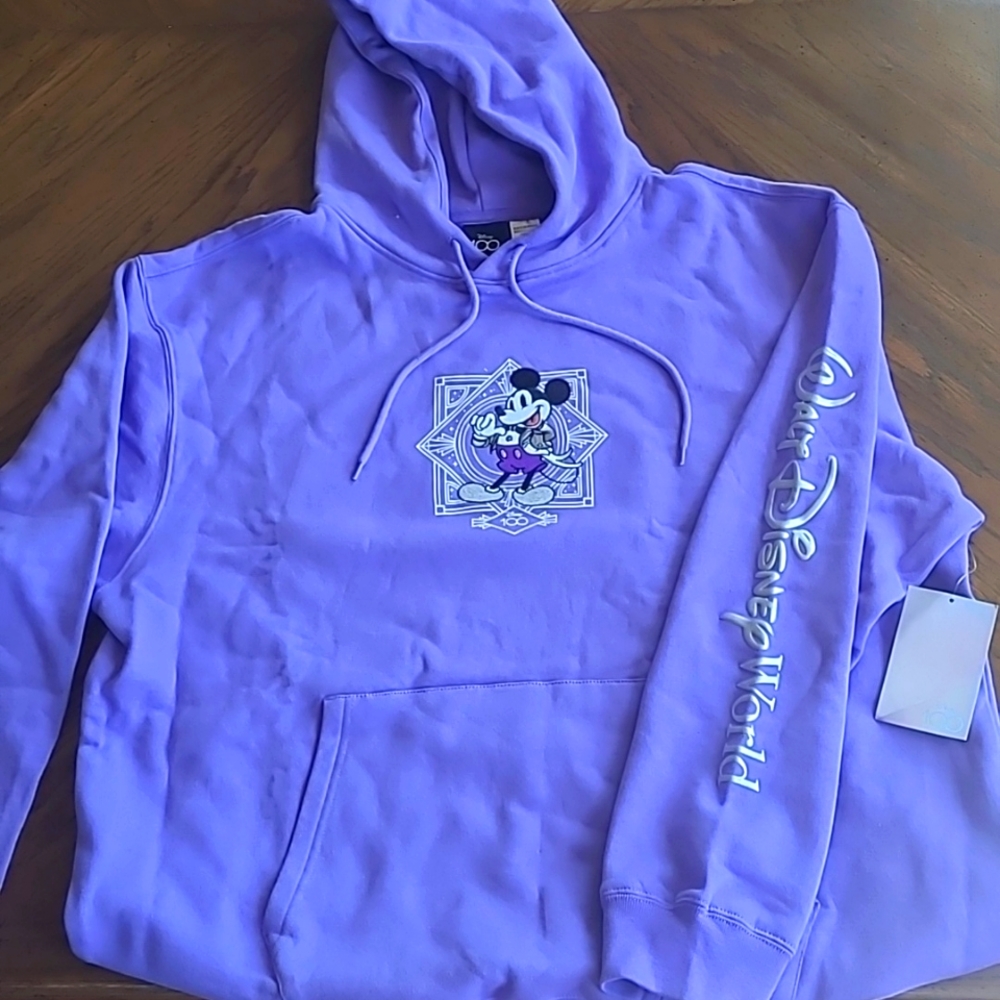 Disney Parks 100 Year Anniversary Sweatshirt